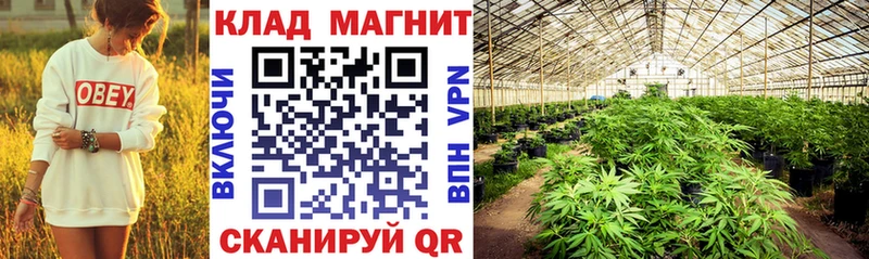 Гашиш Бокситогорск