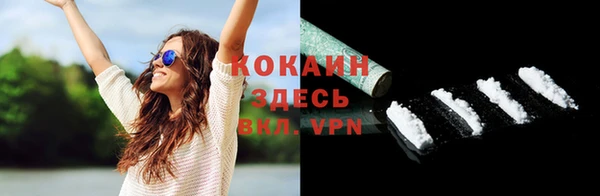 шишки Баксан
