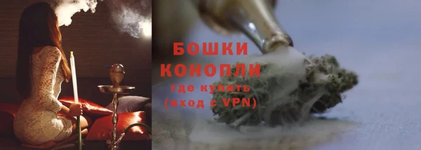 шишки Баксан