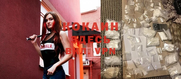шишки Баксан