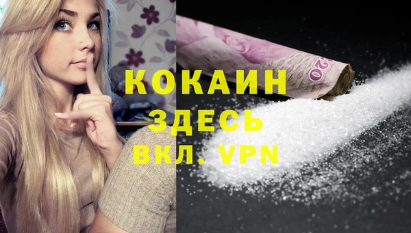 шишки Баксан