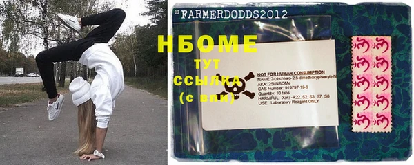 шишки Баксан