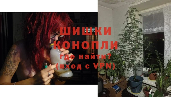 шишки Баксан