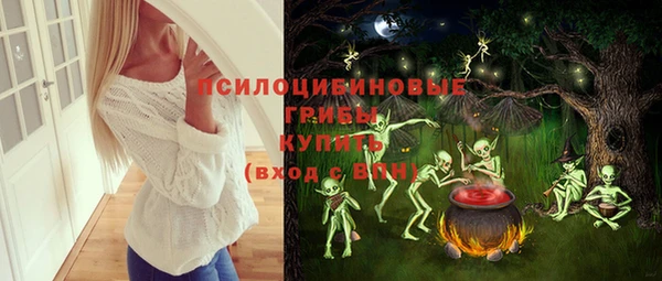 эйфоретик Балахна