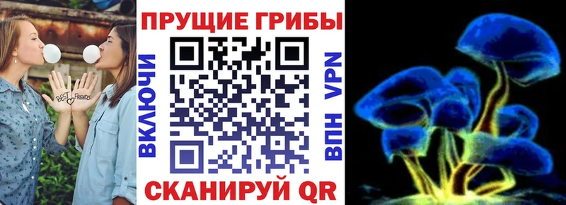 Псилоцибиновые грибы MAGIC MUSHROOMS  Бокситогорск 